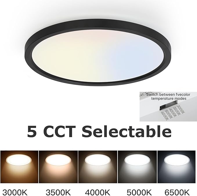 TALOYA 10 Inch Black LED Ceiling Light Fixture Flush Mount, 5-in-1 CCT Selectable (3000K/3500K/4000K/5000K/6500K), 2000LM 0.94inch Thickness Low Profile Surface Mounted Light Fixture for Hallway