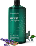 AromaPlan Hotel Scents Minty Eucalyptus 16 Fl Oz (473ml), Home Luxury Aroma & Hotel Diffuser Oil- Hotel Diffuser Oil for Aromatherapy- USA Made, Bigger Bottle, Bolder Aroma & Longer Lasting