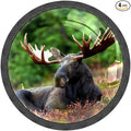 4 Pack Drawer Knobs Pulls Moose Green Trees Crystal Glass Round Knobs Pulls Handles for Cabinets Dressers Kitchen Bathroom - Cupboards Wardrobes Hardware Furniture Knobs