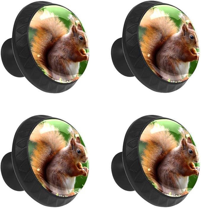 4 Pack Cabinet Knobs Cute Squirrel Animal Drawer Pulls Crystal Glass Round Knobs Handles for Dressers Drawer Bathroom Kitchen Cupboards Wardrobes Hardware Furniture Knobs