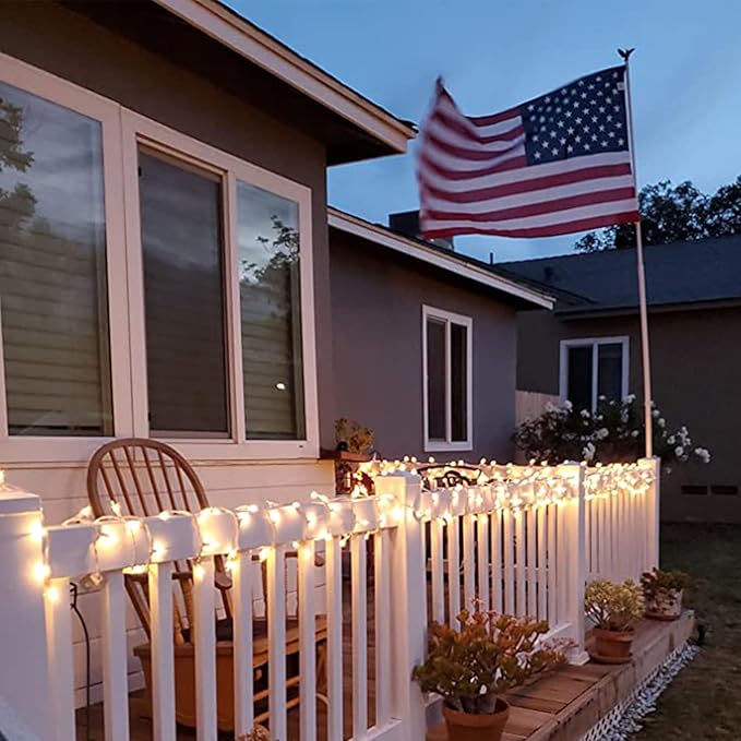 Christmas Lights 100 Count Mini Clear Lights 32ft White Wire Christmas Tree String Lights Set for Outdoor Indoor Christmas Decorations Wedding Decorations Valentines Day Decor,UL Certified (32feet)