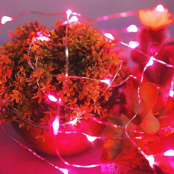Led Fairy Lights Battery Operated, 2 Packs Mini Battery Powered Copper Wire Starry Fairy Lights for Bedroom, Christmas, Parties, Wedding, Centerpiece, Decoration (5m/16ft Red)