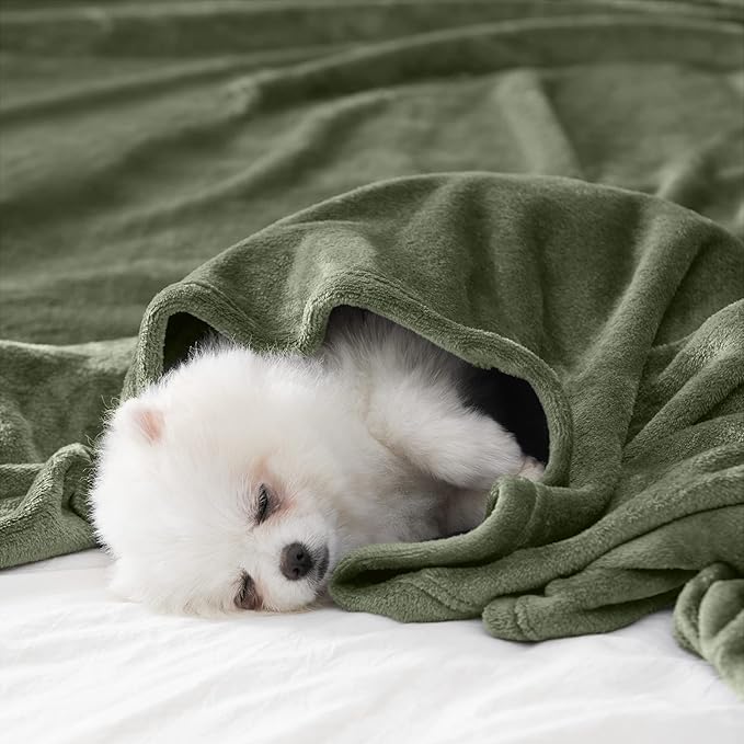 BEAUTEX Fleece Throw Size Blanket for Couch Sofa or Bed, Soft Fuzzy Plush Luxury Flannel Lap Blanket, Super Cozy and Comfy for All Seasons (Olive Green, 50" x 60")