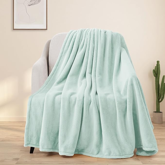 BEAUTEX Fleece Throw Blanket for Couch Sofa or Bed Throw Size, Soft Fuzzy Plush Blanket, Luxury Flannel Lap Blanket, Super Cozy and Comfy for All Seasons (50" x 60",Mint)