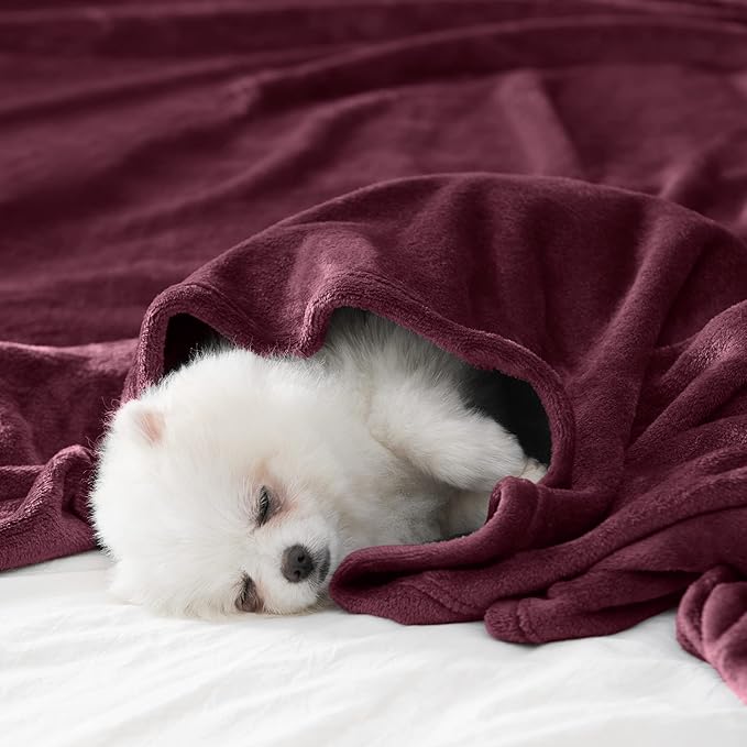 BEAUTEX Fleece Throw Blanket for Couch Sofa or Bed Throw Size, Soft Fuzzy Plush Blanket, Luxury Flannel Lap Blanket, Super Cozy and Comfy for All Seasons (Wine, 50" x 60")