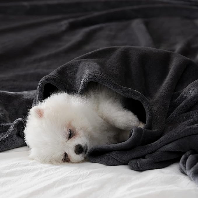 BEAUTEX Fleece Blanket Twin Size Super Soft Flannel Throw Blanket Lightweight Fuzzy Plush Blanket for Couch Sofa or Bed All Seasons (Black, 60" x 80")