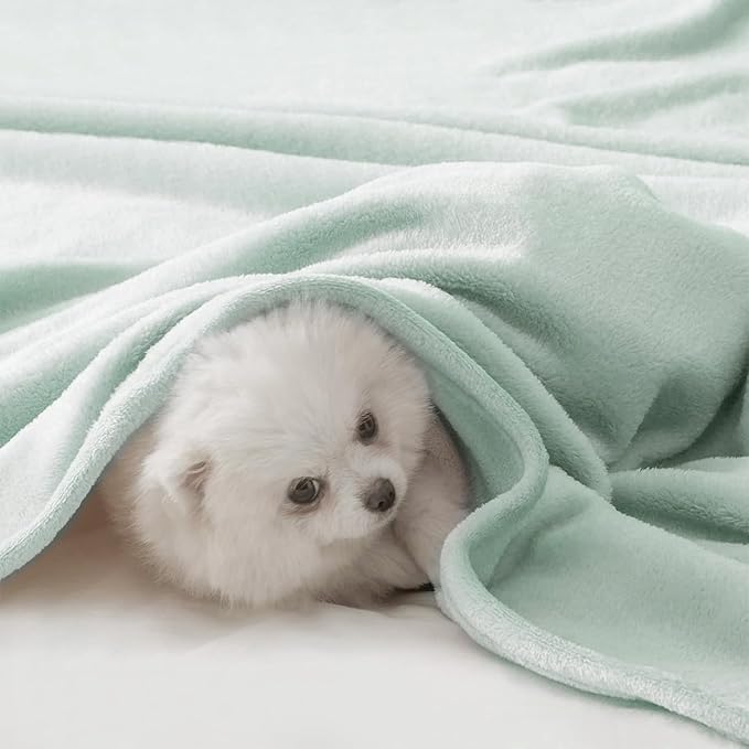 BEAUTEX Fleece Blanket King Size Super Soft Flannel Throw Blanket Lightweight Fuzzy Plush Blanket for Couch Sofa or Bed All Seasons (Mint, 108" x 90")