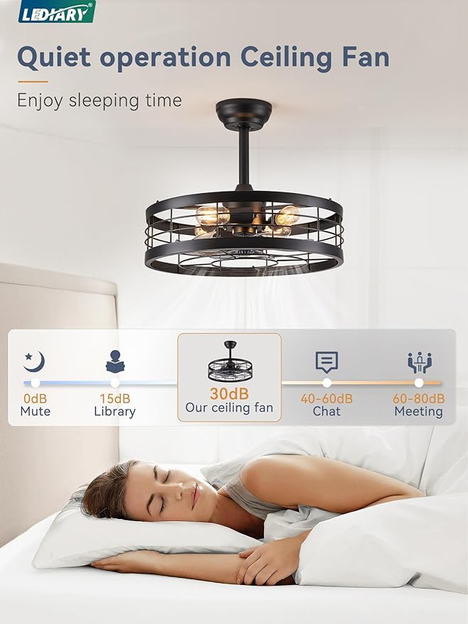 LEDIARY 20 inch Fandelier Caged Ceiling Fan with Light, Bladeless Ceiling Fan with Remote, Farmhouse Fan Lights Ceiling Fixtures for Kitchen, Bedroom, Outdoor(6 Speed, Timing)-Black
