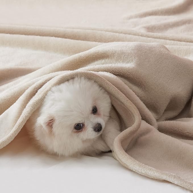 BEAUTEX Fleece Blanket King Size Super Soft Flannel Throw Blanket Lightweight Fuzzy Plush Blanket for Couch Sofa or Bed All Seasons (Ivory, 108" x 90")