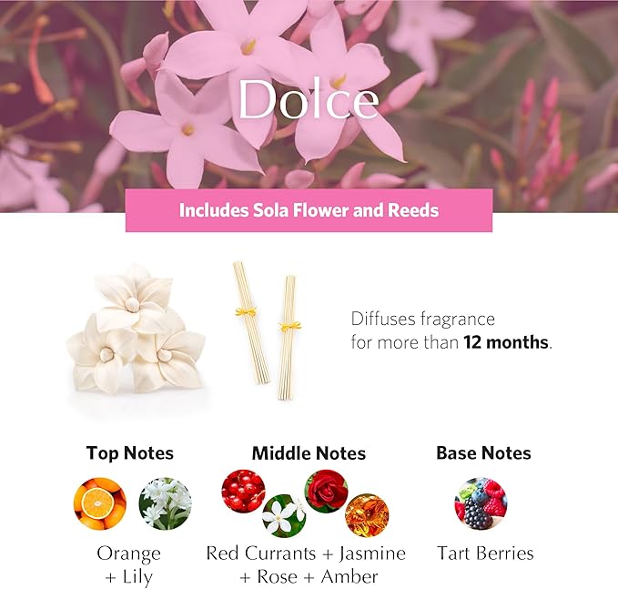 AGRARIA AirEssence Flower and Reed Diffuser Set, Handmade Sola Flower Botanical Home Fragrance Set, Scented Oil Reed Diffuser Gift for All Occasions