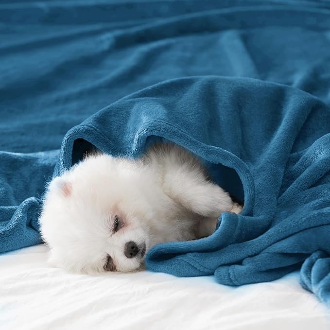 BEAUTEX Fleece Blanket Queen Size Super Soft Flannel Throw Blanket Lightweight Fuzzy Plush Blanket for Couch Sofa or Bed All Seasons (Teal Blue, 90" x 90")