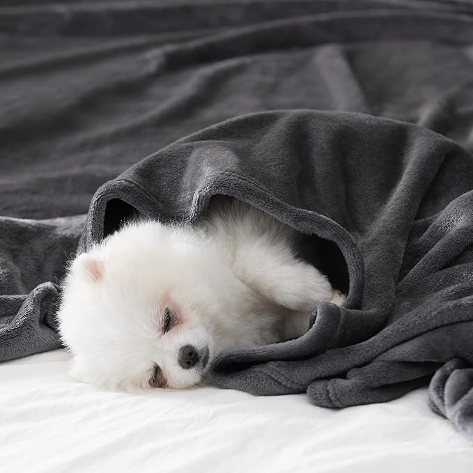 BEAUTEX Fleece Throw Blanket for Couch Sofa or Bed Throw Size, Soft Fuzzy Plush , Luxury Flannel Lap Blanket, Super Cozy and Comfy for All Seasons (Graphite, 50" x 60")