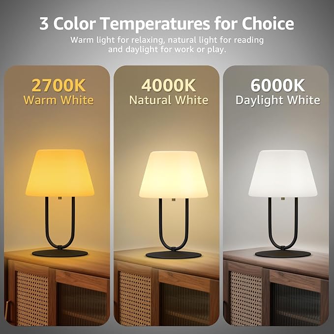 FUYO Small Bedside Table Lamp for Bedroom, Water-Resistant Rechargeble Shower Lamp, Dimmable Touch Control Lamps, Night Light for Bathroom Living Room Patio Camping, 9in(Black)