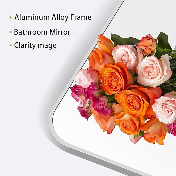 24" x 48"Bathroom Mirror, Sliver Wall Mirror with Metal Frame, Decorative Rectangular Vanity Mirror for Bedroom Bathroom Living Room Entryway (Horizontal/Vertical)