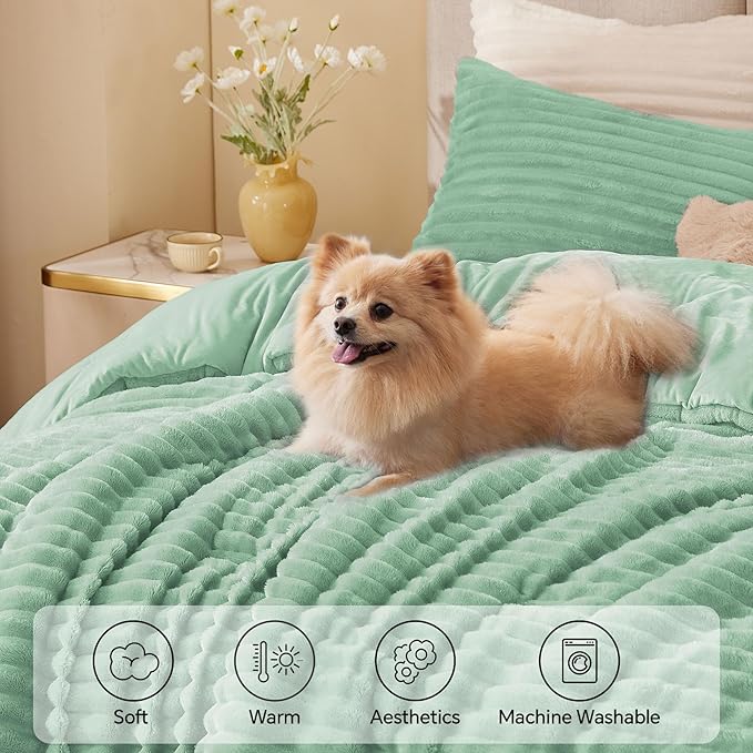 BEDELITE Fleece Queen Comforter Set -Super Soft & Warm Fluffy Light Green Bedding, Luxury Fuzzy Heavy Bed Set for Winter with 2 Pillow Cases