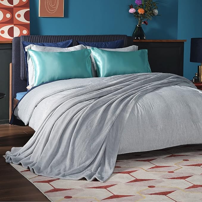 Bedsure GentleSoft Fleece Blankets Queen Size Light Grey - Bed Blanket Soft Lightweight Plush Fuzzy Cozy Luxury Microfiber, 90x90 inches