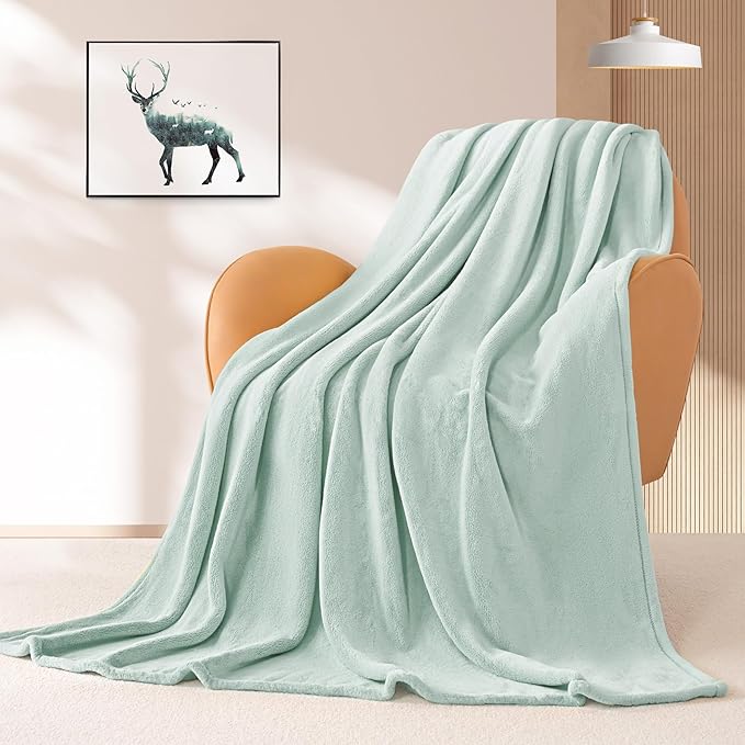 BEAUTEX Fleece Blanket King Size Super Soft Flannel Throw Blanket Lightweight Fuzzy Plush Blanket for Couch Sofa or Bed All Seasons (Mint, 108" x 90")