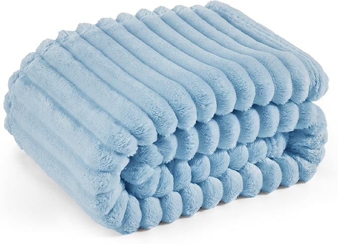 Bedsure GentleSoft Blue Fleece Blanket for Couch - Cozy Soft Blankets for Women, Cute Small Throws for Girls, Spring Decorations for Home, Light Blue, 50x60 Inches