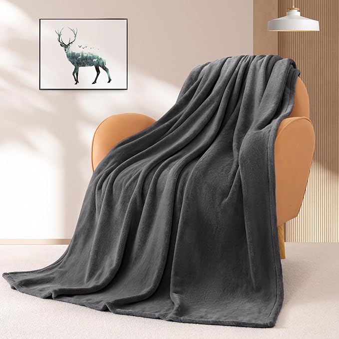 BEAUTEX Fleece Throw Blanket for Couch Sofa or Bed Throw Size, Soft Fuzzy Plush , Luxury Flannel Lap Blanket, Super Cozy and Comfy for All Seasons (Graphite, 50" x 60")