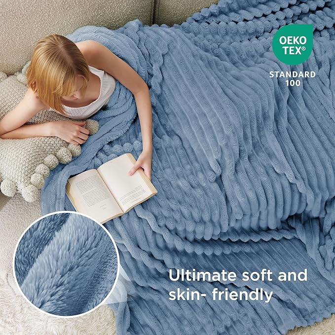 Bedsure GentleSoft Queen Blanket for Bed - Cozy Soft Blankets for Women, Cute Large Fall Throws for Girls, Ashley Blue, 90x90 Inches