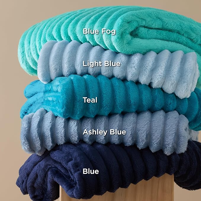 Bedsure GentleSoft Throw Blanket for Couch - Cozy Soft Blankets for Women, Cute Small Throws for Girls, Ashley Blue, 50x70 Inches