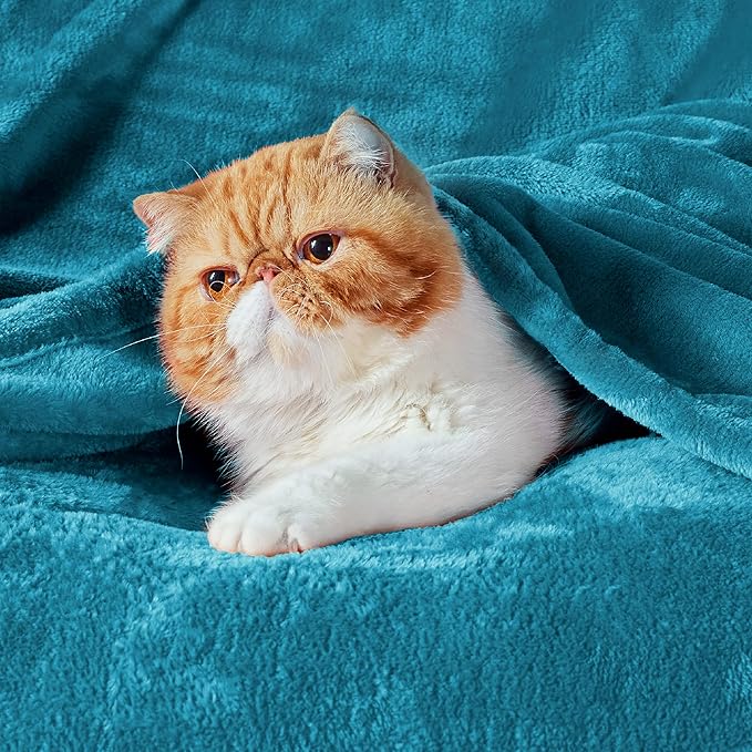 Bedsure GentleSoft Fleece Throw Blanket Teal - 300GSM Blankets for Couch, Sofa, Bed, Soft Lightweight Plush Cozy Throws for Toddlers, 50x60 inches