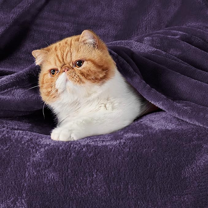 Bedsure Fleece Blanket Twin Blanket Purple - 300GSM Soft Lightweight Plush Cozy Twin XL Blankets for Bed, Sofa, Couch, Travel, Camping, 66 inch X 90 inch