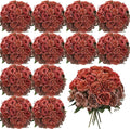 Geosar 16 Bundles Artificial Peonies Flowers Fake Silk Peony Bouquet Faux Peonies Flowers Bulk for Decoration Vase Floral Arrangements Wedding Party Table (Orange,Brown)